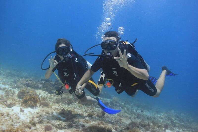 Cancun: Dive Underwater Museum & Manchones Reef - Key Points