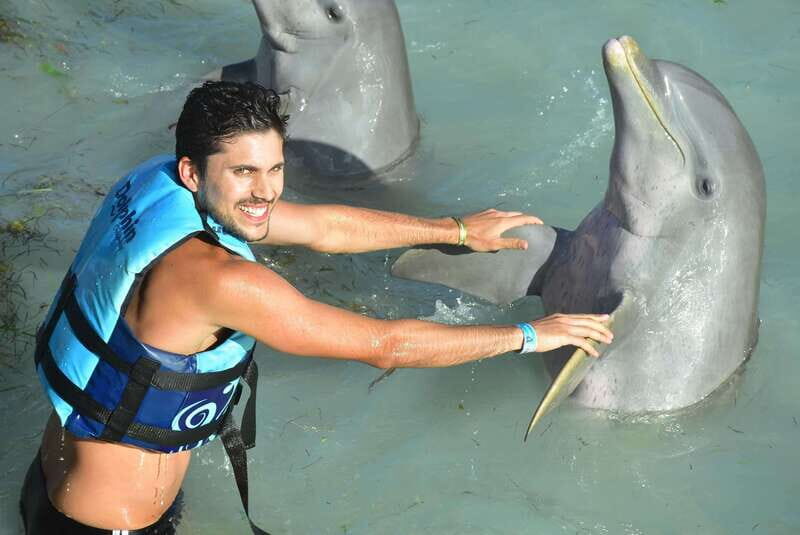 Cancun: Dolphin Encounter on Isla Mujeres and Garrafon Park - An In-Depth Look at the Tour Experience