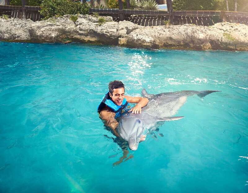 Cancún: Dolphin Encounter on Isla Mujeres with Buffet - What’s Included and What’s Not