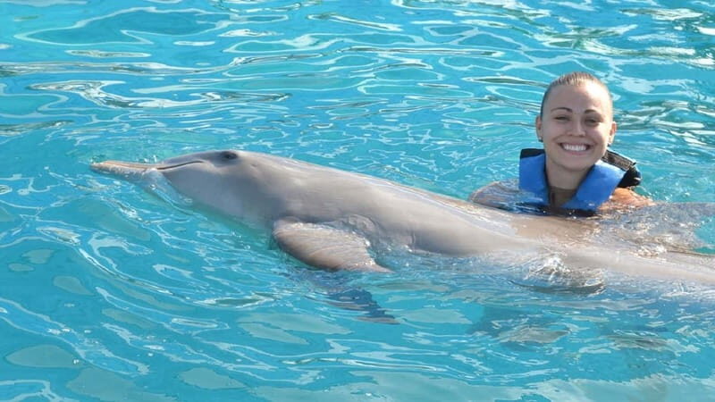 Cancún: Dolphin Encounter on Isla Mujeres with Buffet - The Itinerary: From Cancún to Dolphin Encounters