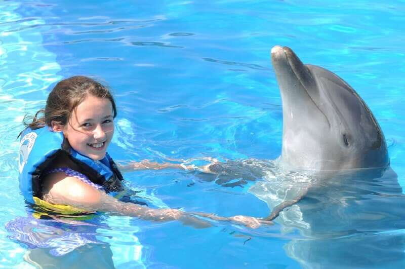Cancún: Dolphin Encounter on Isla Mujeres with Buffet - Practical Details and Tips