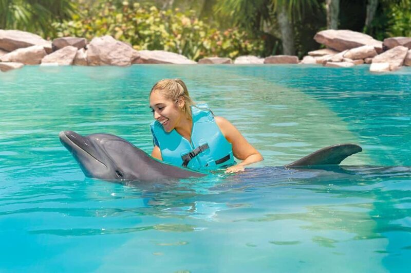CANCUN: Dolphin Swim Adventure with buffet and soft drinks - What to Expect: The Experience in Detail