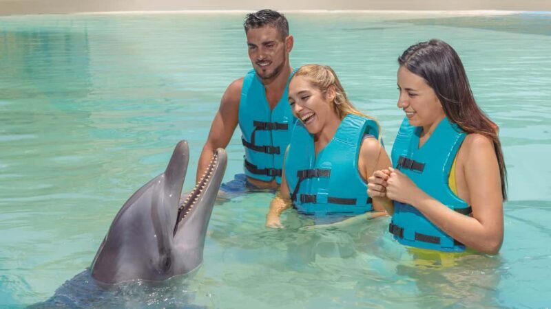 CANCUN: Dolphin Swim Adventure with buffet and soft drinks - Authentic Insights from Past Travelers