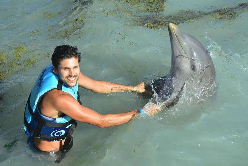 Cancun: Dolphin Swim and Garrafon Reef Park Tour with Buffet - Key Points