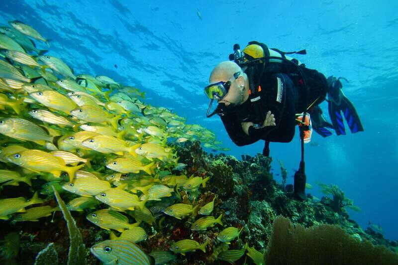 CANCUN: FIRST TIME DIVERS CANCUN - What’s Included and What’s Not