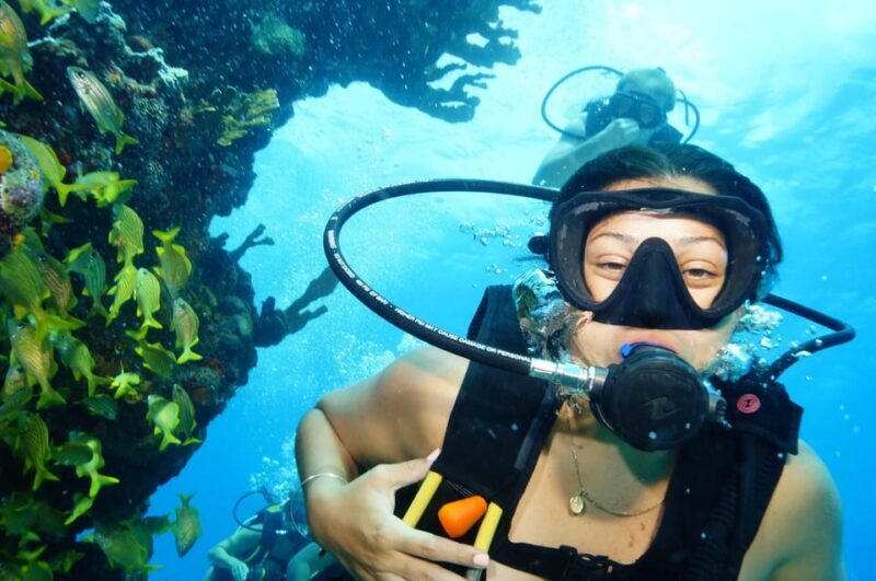 CANCUN: FIRST TIME DIVERS CANCUN - The Sum Up: Who Should Consider This Tour?