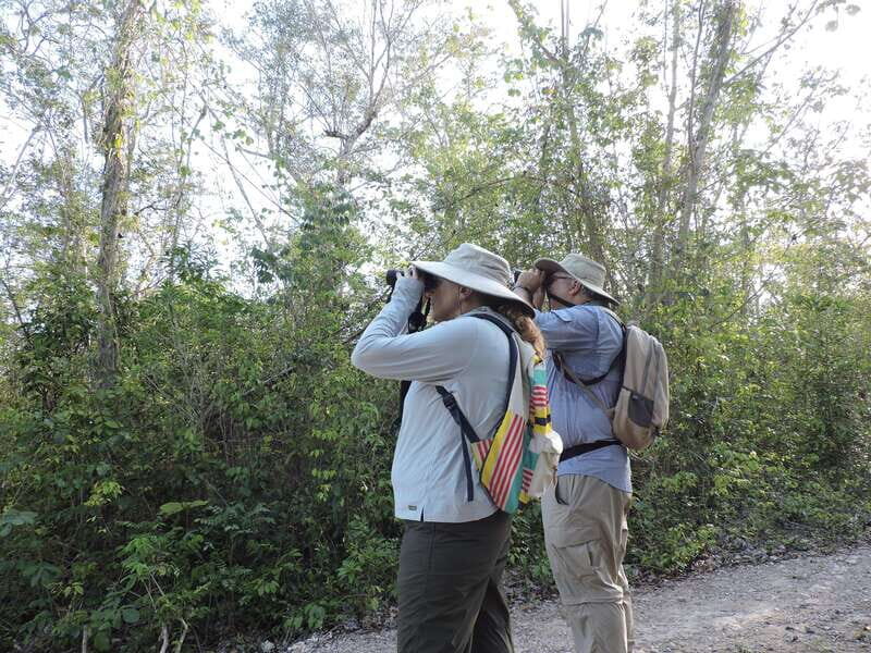 Cancún: Guided Birdwatching Hike - Discovering the Birdwatching Experience Near Cancún