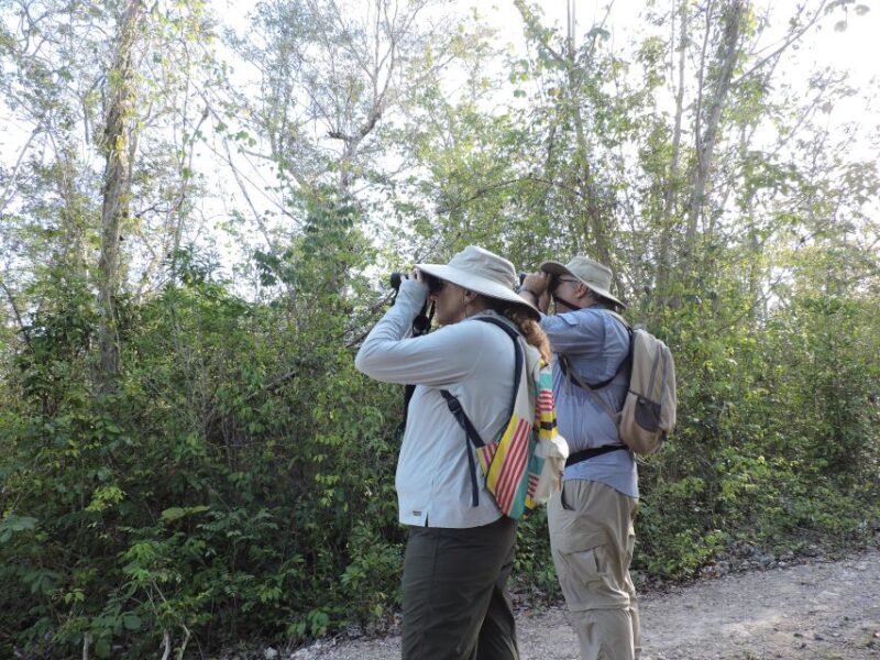 Cancún: Guided Birdwatching Hike - FAQ