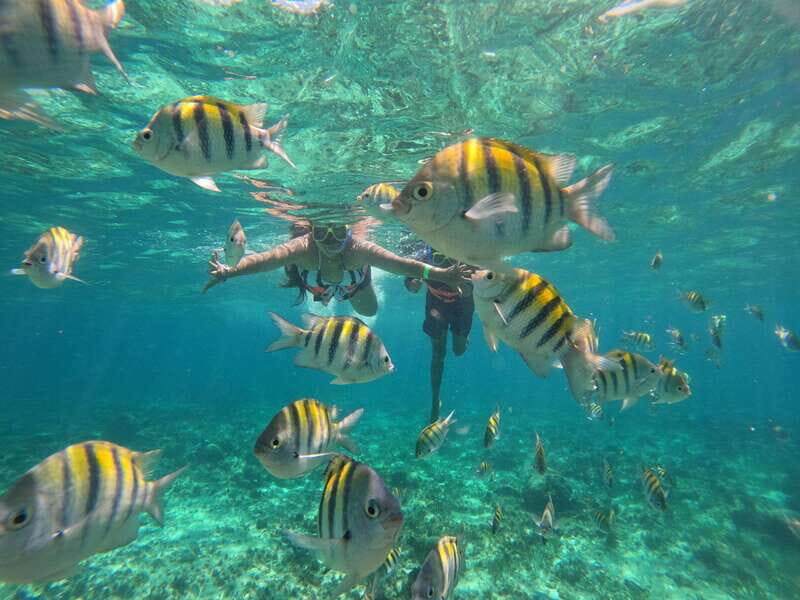 Cancun: Half Day Private Catamaran with Snorkeling. 25 guest - Practical Tips for Travelers