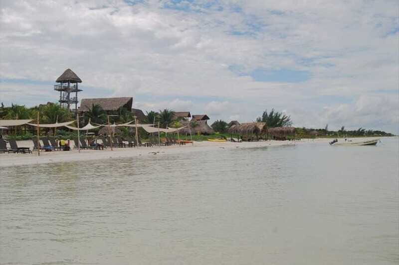 Cancun: Holbox Island Birdwatching and Wildlife Adventure - Details That Matter