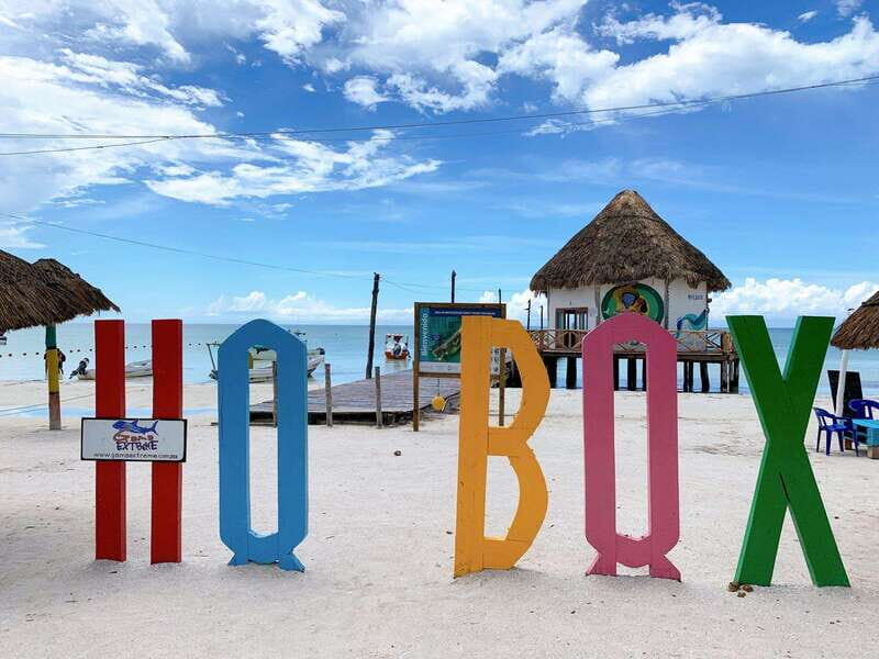 Cancun: Holbox plus Island, Punta Mosquito Trip with Lunch - The Experience: Pros and Cons