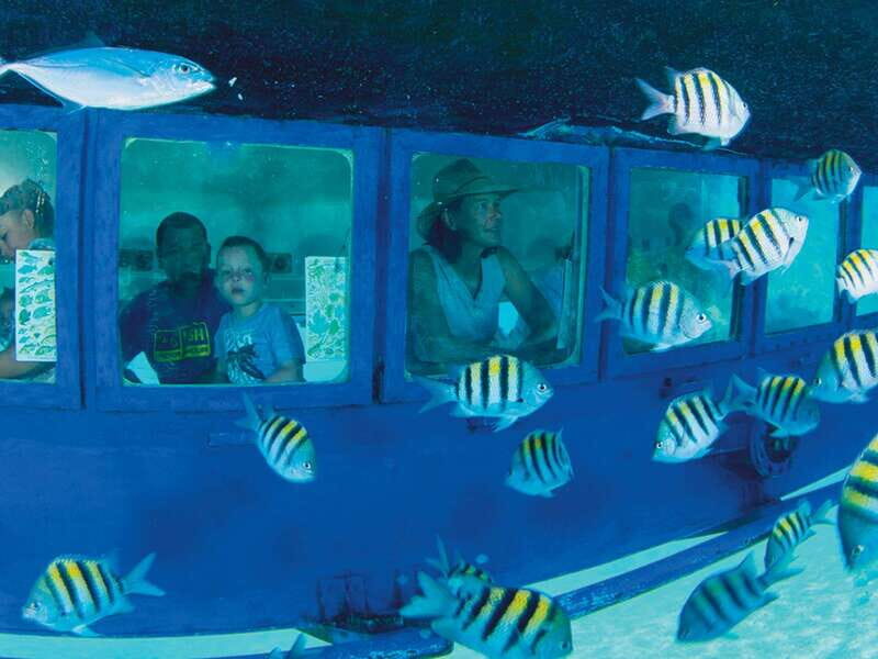 Cancún: Hop-on Hop-off Bus Tour with Submarine Trip - Final Thoughts