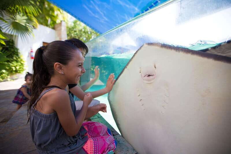 Cancún Interactive Aquarium Admission + Dolphin Presentation - Key Points
