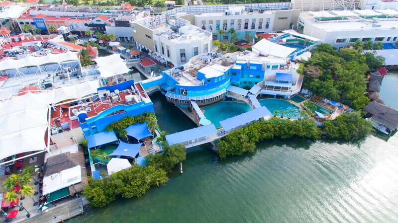 Cancún Interactive Aquarium Admission + Dolphin Presentation - Authentic Reviews and Insights