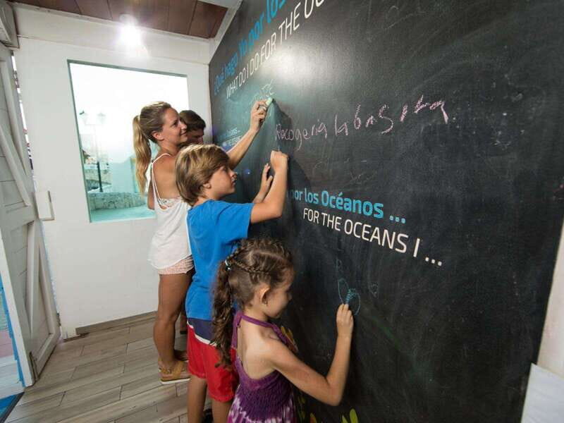 Cancún Interactive Aquarium Admission + Dolphin Presentation - Final Thoughts