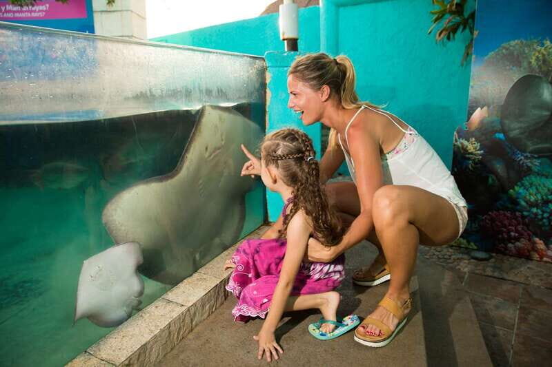 Cancún: Interactive Aquarium Admission - What to Expect at Cancún’s Interactive Aquarium