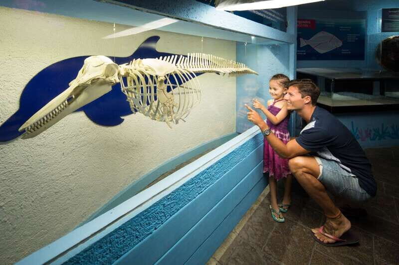 Cancún: Interactive Aquarium Admission - Final Thoughts: Who Should Visit?