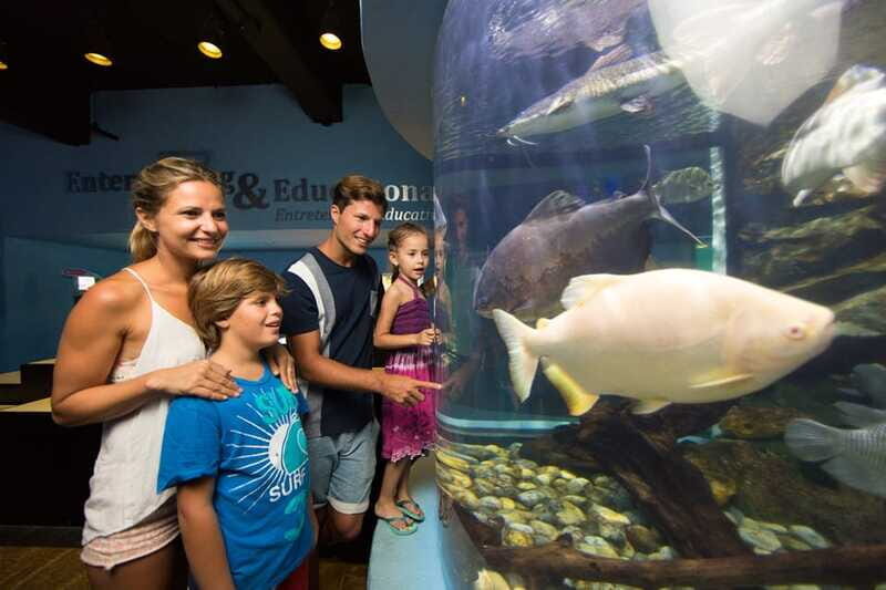Cancún: Interactive Aquarium Admission - FAQs