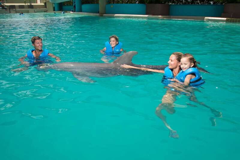 Cancun: Interactive Aquarium - Swim with dolphins Premium - Cancun: Interactive Aquarium - Swim with Dolphins Premium
