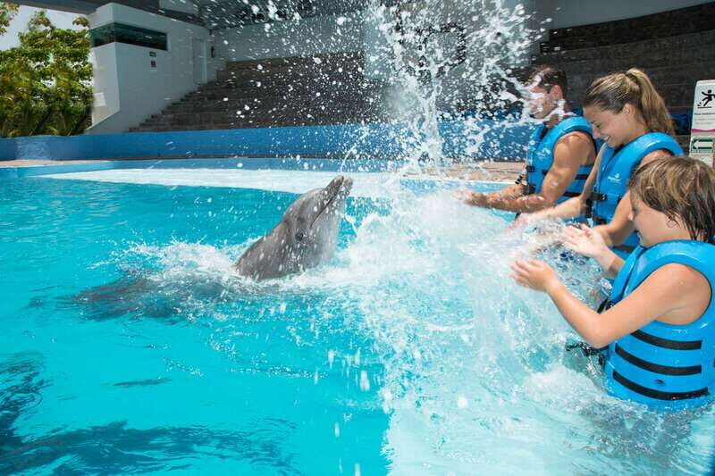 Cancun: Interactive Aquarium - Swim with dolphins Premium - What Travelers Are Saying