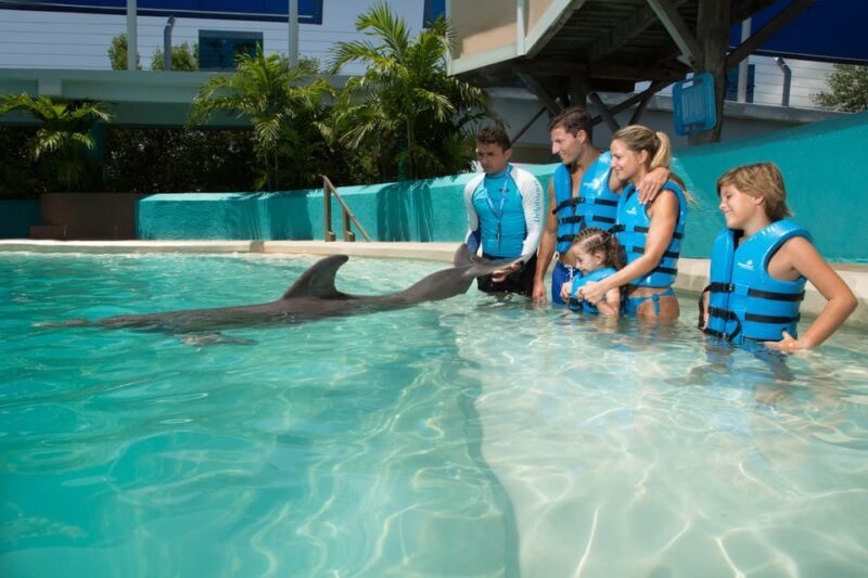 Cancun: Interactive Aquarium - Swim with dolphins Premium - Who Will Love This Tour?