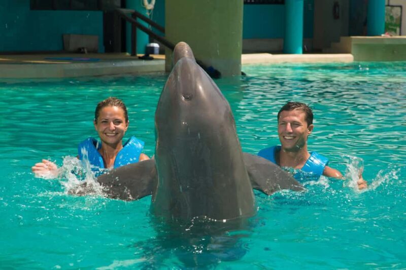 Cancun: Interactive Aquarium Ticket and Swim with Dolphins - The Experience from Start to Finish