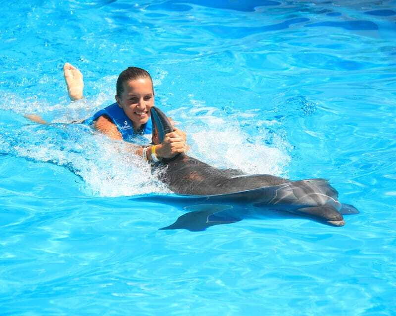 Cancun: Interactive Aquarium Ticket and Swim with Dolphins - Frequently Asked Questions