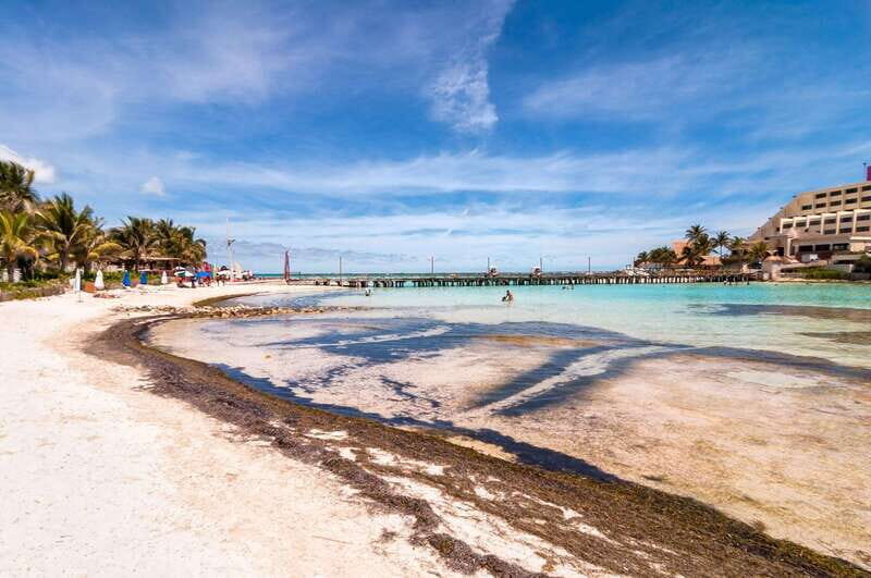 Cancun: Isla Mujeres Premium Catamaran Half-Day Tour - The Sum Up: Who Is This Tour Best For?