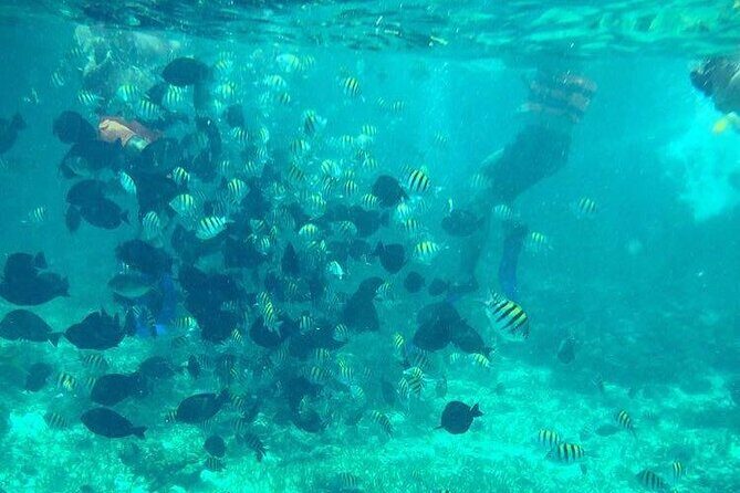 Cancun Jetski and Snorkel Adventure - An In-Depth Look at the Cancun Jetski and Snorkel Adventure