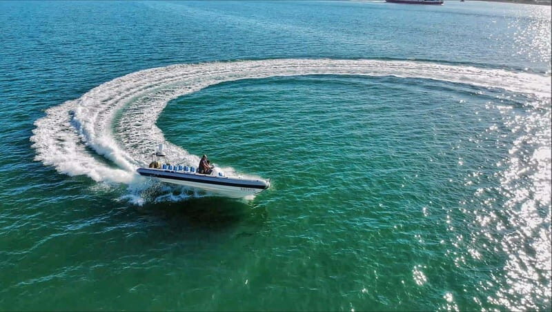 Cancun: Jungle expedition with speedboat ride and Snorkel - Key Points