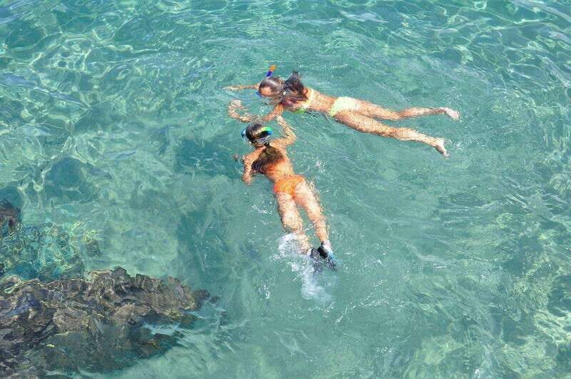Cancun: Jungle expedition with speedboat ride and Snorkel - Final Thoughts: Is This Tour Right for You?