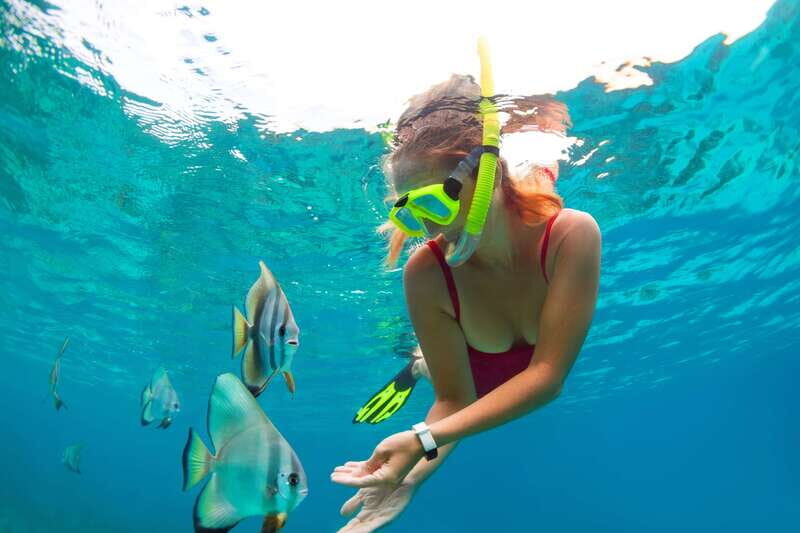 Cancun: Jungle Tour Adventure with Speedboat and Snorkeling - Key Points