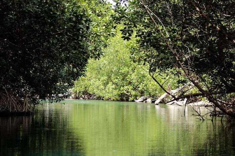 Cancun: Jungle Tour Adventure with Speedboat and Snorkeling. - FAQs