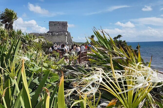 Cancun Jungle Tour: Tulum, Cenote Snorkeling, Ziplining, Lunch - A Complete Look at the Cancun Jungle Tour