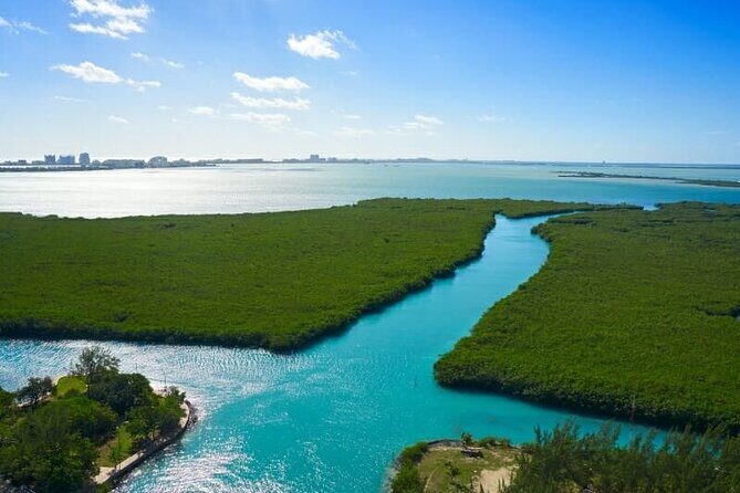 Cancun Jungle Tour with Speedboat and Snorkeling - An Overview of the Experience