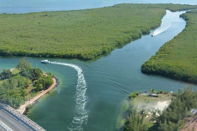 Cancun Jungle Tour with Speedboat and Snorkeling - Who Is This Tour Best For?