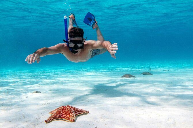 Cancun Jungle Tour with Speedboat and Snorkeling - Practical Considerations and Tips