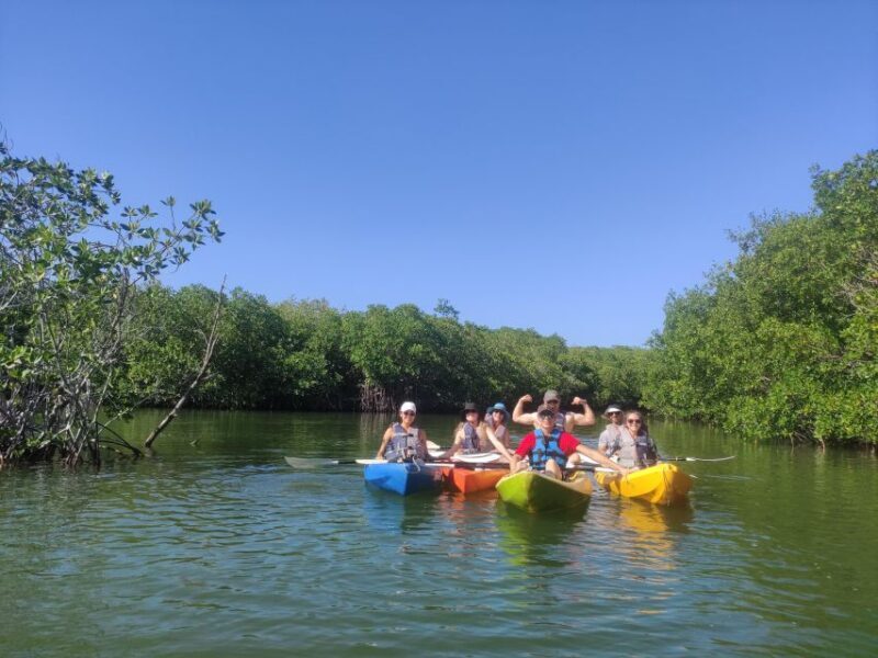 Cancun: Kayaking Tour in Nichupte Lagoon - Who Will Love This Experience?