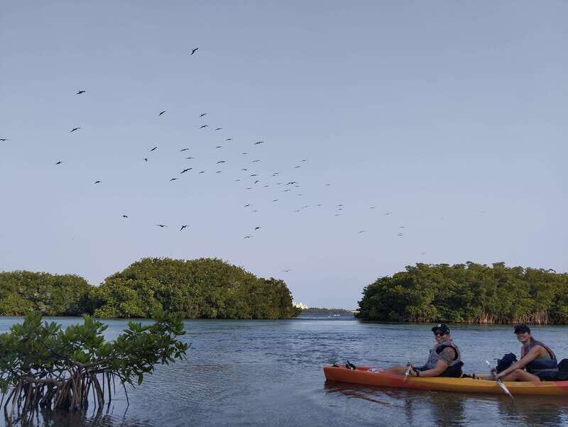 Cancun: Kayaking Tour in Nichupte Lagoon - Final Thoughts