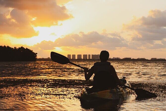 Cancun Lagoon Sunrise Kayak Adventure - Exploring the Cancun Lagoon Sunrise Kayak Adventure