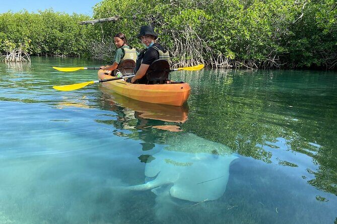 Cancun Lagoon Sunrise Kayak Adventure - Final Thoughts