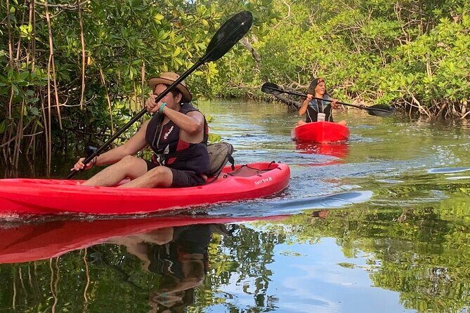 Cancun Lagoon Sunset Kayak Adventure - FAQ