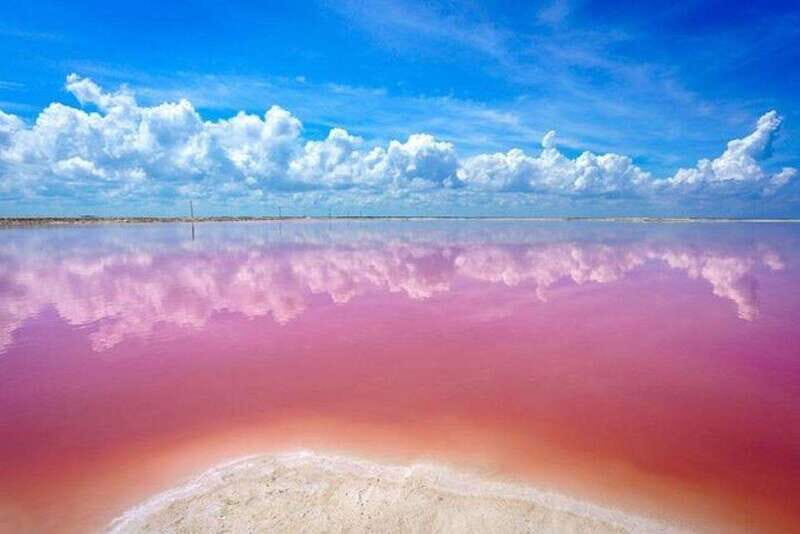 Cancun: Las Coloradas and Río Lagartos Private Tour - Key Points