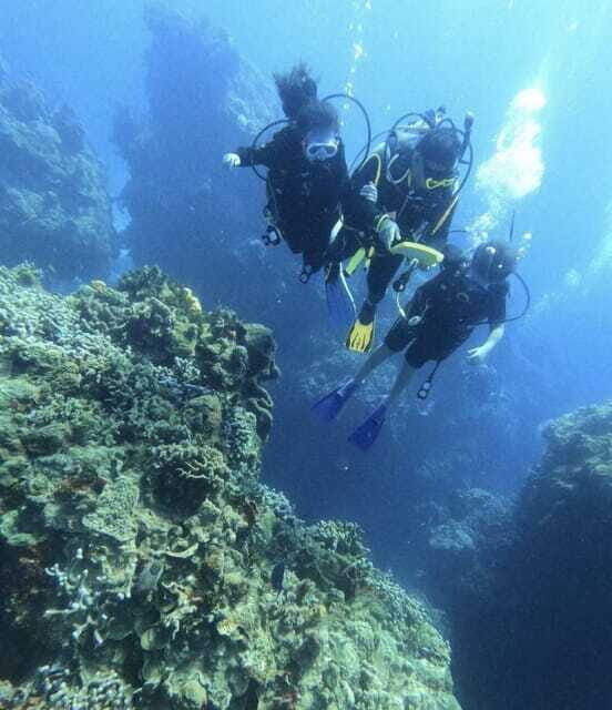 Cancun: Lionfish Expedition Package - What Reviewers Say