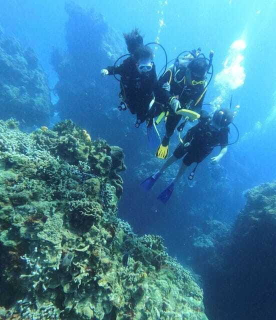 Cancun: Lionfish Expedition Package - The Sum Up: Who Will Love This Experience?
