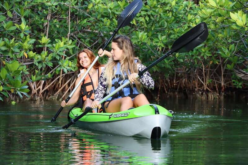 Cancun: Morning Kayak Adventure - An Authentic and Calm Way to Experience Cancun’s Natural Beauty