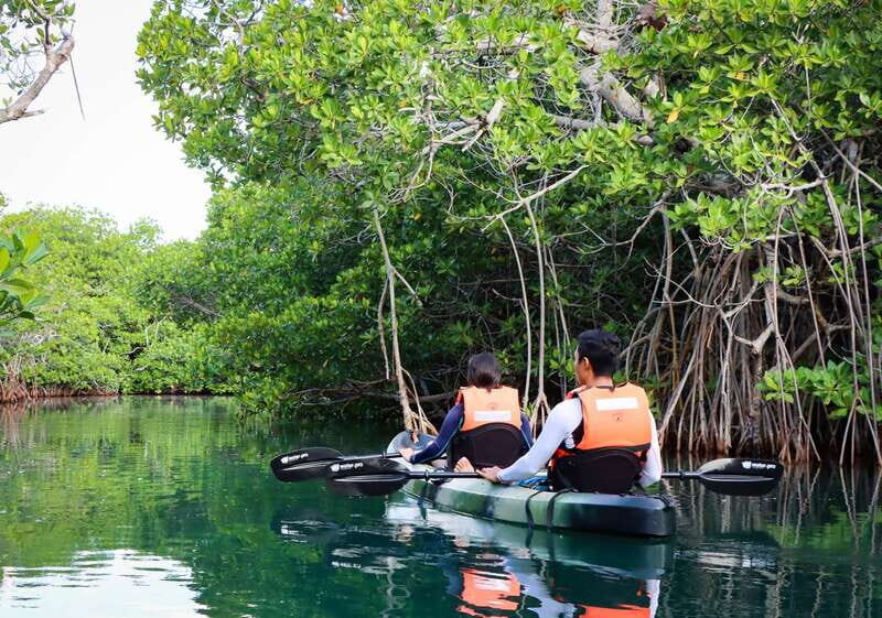 Cancun: Morning Kayak Adventure - The Experience’s Pacing and Group Size