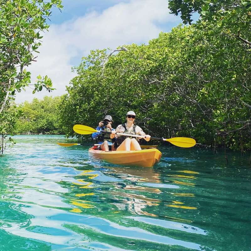 Cancún: Morning or Sunset Kayak Adventure in Nichupte Lagoon - Final Thoughts