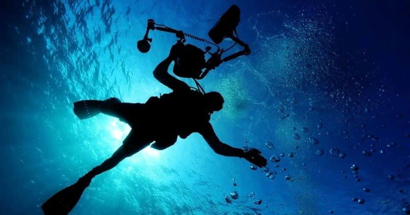 Cancun: MUSA Diving for certified divers morning dive trip - Key Points