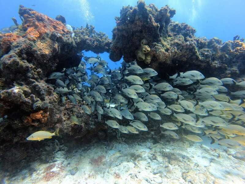 Cancun: PADI Enriched Air Nitrox Course - Practical Tips for Participants
